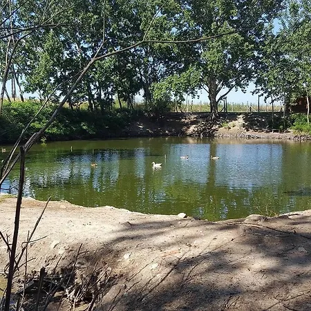 Oda ve Kahvaltı Vad Es Vizivilag Park Panzio Kisfokto