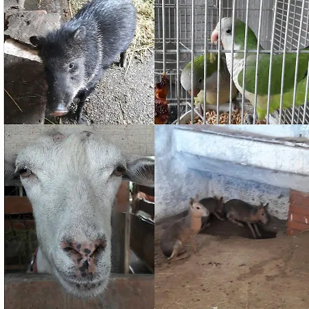 Oda ve Kahvaltı Vad Es Vizivilag Park Panzio Kisfokto *