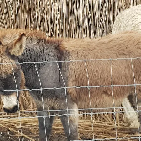 Vad Es Vizivilag Park Panzio Kisfokto * Fokto